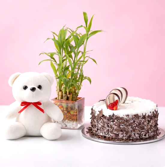 Triple Delight Box: Lucky Bamboo, Teddy & Cake