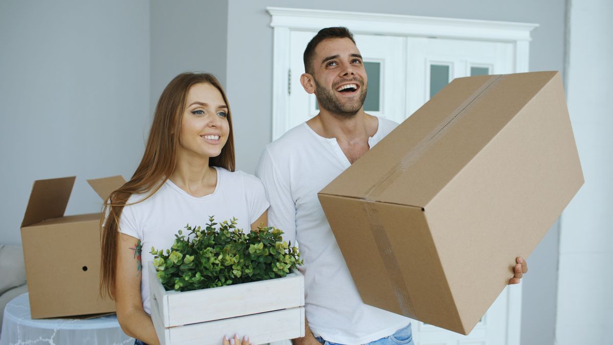 Housewarming Gifts — lucky plants and decor